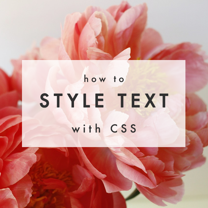 CSS Basics Styling Your Text The Blog Market