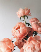 Friday Favorites 04 | Floral Finds - The Blog Market